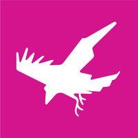 De Raaf Media
