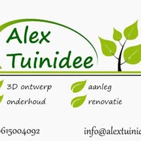 Alex Tuinidee