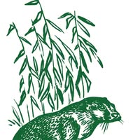 De Visotter