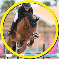 Deckers Sporthorses