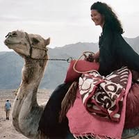 DesertJoy reizen