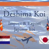 Deshima Koi Harmelen