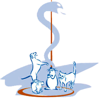 Dierenartsen Combinatie Regio Utrecht