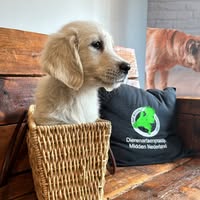 Dierenartsenpraktijk Midden Nederland
