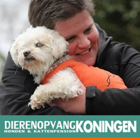 Dierenopvang Koningen