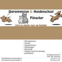 Dierenpension & Hondenschool Pijnacker