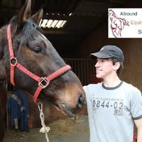 Allround Equine Services