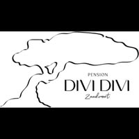 Dividivi Zandvoort