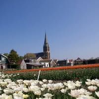 Dorpsraad Wervershoof