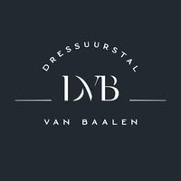 Dressuurstal Van Baalen