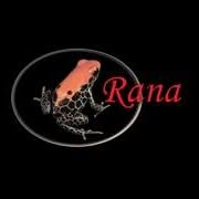 Dutch rana