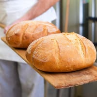 Echte Bakker Rebel