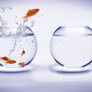 Ester Janssen, leefstijlcoaching en advies