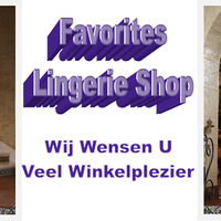 Favorites Lingerie Shop