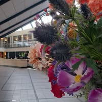 Fletcher Hotel-Resort Spaarnwoude