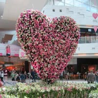 flowers gallery