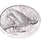 Fly Fishing Academy