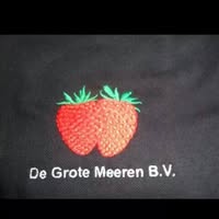 Foesenek De grote meeren b.v