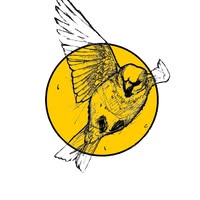 Freebird Sessions