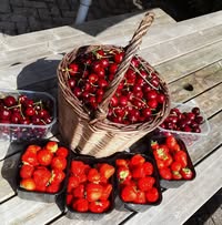Fruit en teeltbedrijf van Arkel
