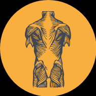 Fysiotherapie Adams