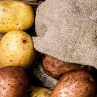 Geluk Aardappelen Dodewaard