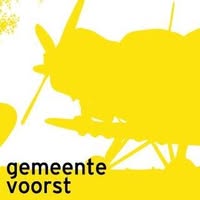 Gemeente Voorst