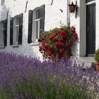 Gillishof Vakantieappartementen