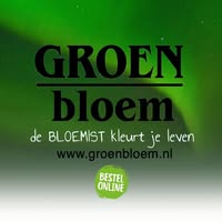 Groen bloemsierkunst Workum