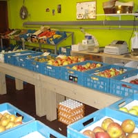 Groente & Fruit van Lier