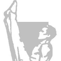 Gymnastiekvereniging Wilskracht