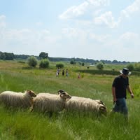 Hardenberg Anders