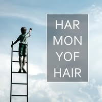 Harmony Of Hair