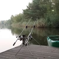 Hengelsport the silverfish