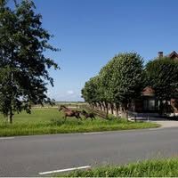 Hoeve Buiten Verwachting pensionstal