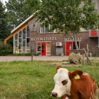 Hofwinkel