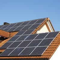 Holectra