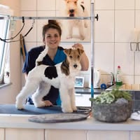 Honden Verzorgings Instituut Limburg
