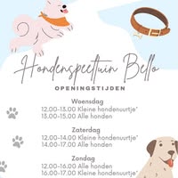 Hondenspeeltuin Rotterdam