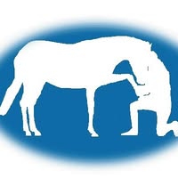 Horse Respect Freestyle Training