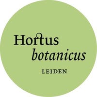 Hortus botanicus Leiden