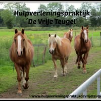 Hulpverleningspraktijk 'De Vrije Teugel'
