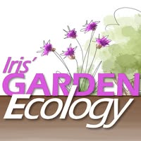 Iris' Garden Ecology