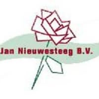 Jan Nieuwesteeg BV