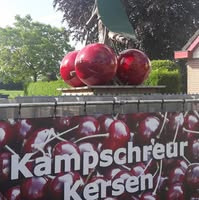 Kampschreur Kersen