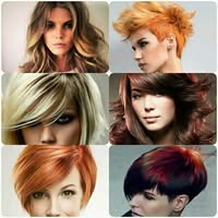 Kapsalon New Image