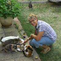 Kat in de Gordijnen, kattengedragsadvies