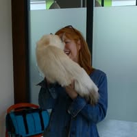 Kattenoppas Leidsche Rijn