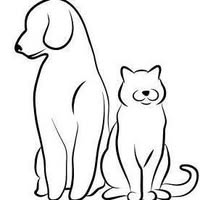 Aukje's Honden & Katten Trimsalon