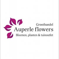 Auperlé Flowers